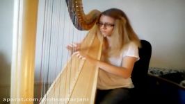 Hans Zimmer  Interstellar Main Theme Harp Cover