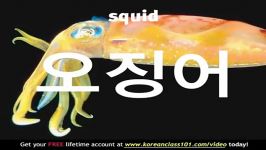 آموزش زبان کره ای یادگیری لغات عکس؛ حیوانات دریایی