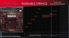 Chris Hein  Ensemble Strings Details