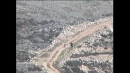 شلیک سرباز اسراییلی به جوان فلسطینی