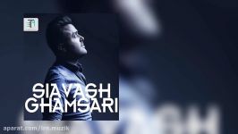 Siavash  Ghamsari  Har  Sanieh  متن آهنگ سیاوش قمصری هر ثانیه