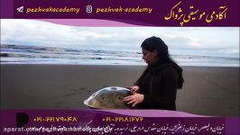 هنگ درام چیست؟ تدریس هنگ درام در تهران آموزشگاه موسیقی پژواک
