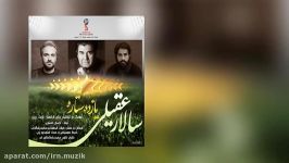 Salar Aghili  11 Setareh  سالار عقیلی  11 ستاره  متن آهنگ تیم ملی