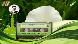 شیخ ضیایی  اسلام بهترین حامی حقوق زنان ...