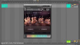 Sessions Strings Pro 2  Walkthrough  Native Instruments