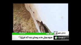 حمله موش ها به یک روستا در ایران دستگاه دفع موش 