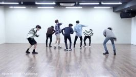 mirrored BTS  FAKE LOVE Dance Practice