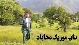 آرام بالکی  بی کس