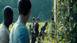 اولین تریلر 2014 The Maze Runner