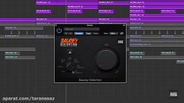 Saucey Distortion  Introduction