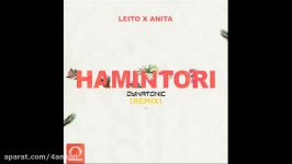 Leito  Hamintori  Remix