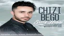 سعید حبیبی  چیزی بگو  Saeed Habibi  Chizi Bego