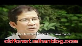 جنگلداری اقتصاد سبز oldforest.mihan .com