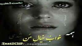 نمی تونم دیگه بی تو سر کنم