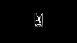 Bacteria Workbook