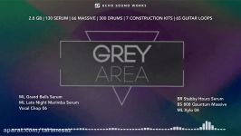 Echo Sound Works Grey Area V.1