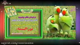 شعر امام علی علیه السلام صدای عمو فتیله ها