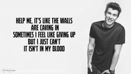 Shawn Mendes  In My Blood Lyrics