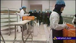 افتتاحیه خط قطعه بندی بسته بندی مرغ تخم مرغ مجتمع رژینا