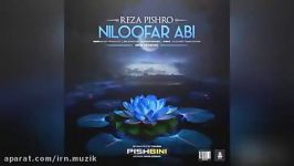 Reza Pishro  Niloofar Abi New Version