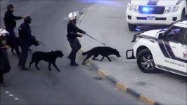 بحرین13921125استفاده سگ برای سرکوب مردم مظلوم..