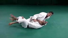 Reverse Mount Transition  آموزش BJJ