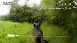 سوار اسب بارون گرشا رضایی 2018