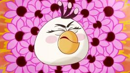 پرندگان خشمگین قسمت 47  Angry Birds toons S01E47