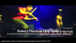 Robert Mendoza violin  Swedish House Mafia  Espectáculos Luxury