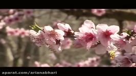 Mazandaran  Northern Iran  بهار بیقراری   مازندرانی  تبرستان