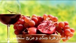 Bitter Wine  Hafez  Mucic Jamshid Vahadi  کلام حافظ  موسیقی جمشید وحادی  شراب تلخ