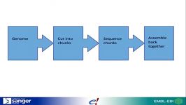 Introduction to genome browsers using Ensembl