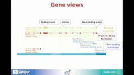 Ensembl Highlights Webinar