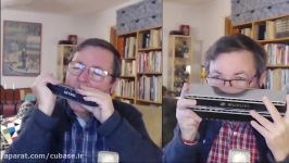 Chromatic and Double Bass harmonica