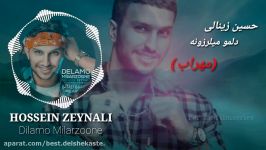 آهنگ جدید حسین زینالی، دلمو میلرزونه 2018 Hossein Zeynali  Delamo Milarzoone 2