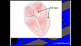 22 Cardiac Electrophysiology Section 4  Part 1