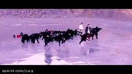 موزیک ویدیو Not today BTS