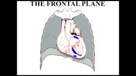 9 ‪ECGTeacher.com  The Cardiac Axis Section 2  Part 3‬