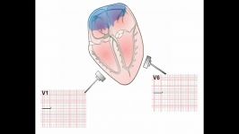 2  ECG Generation Section 1  Part 2