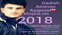 آهنگ ترکمنی آیی گزل دادیش امینف Turkmencha dadish aminov aygozel