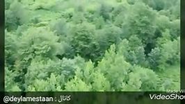 Gilan  Iran  نماهنگ بسیار زیبا شالیزار وجنگلهای شمال   گیلکی  گیلان