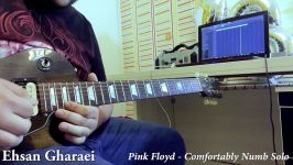 Pink Floyd  Comfortably Numb Guitar Solo