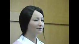 Japanese nurse robot