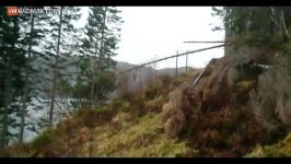 The Norwegian way to cut a tree down is pretty badass..