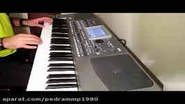 Pedram MP8 With Korg Pa900