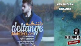 IMAN GHOLAMI DELTANGE