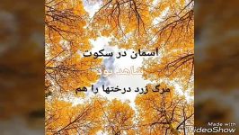 مرگ زرد درختها