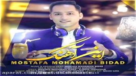 مصطفی محمدی بیداد  این آهنگ  Mostafa Mohamadi Bidad  In Ahang