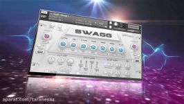 Big Fish Audio and VIP Loops present... SWAGG