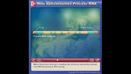 پیرایش RNA یا splicing